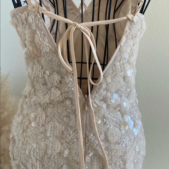 SOLD Forever 21 Nude Blush Sequin Spaghetti Strap Dress - Picture 3 of 8